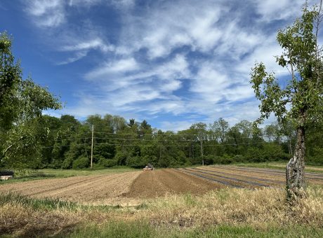 Around the farm