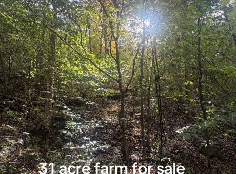 Farm and hunting land homestead