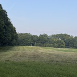 North, Main field