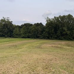 Southeast, toward creek