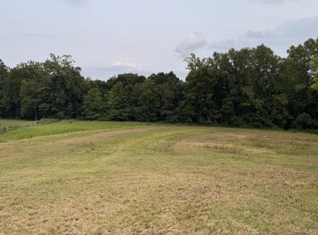Field